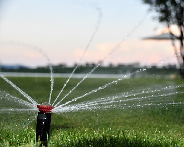 Spinning Sprinkler — Irrigation in Darwin NT