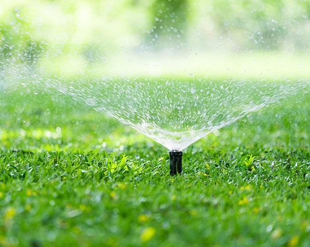 Field Sprinkler — Irrigation in Darwin NT