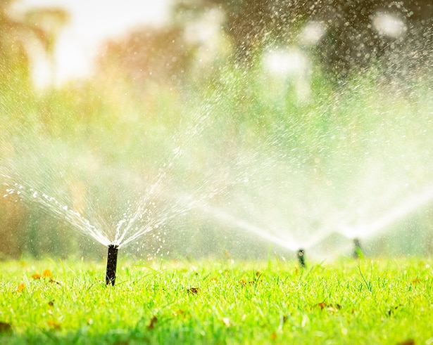 Multiple Sprinklers — Irrigation in Darwin NT