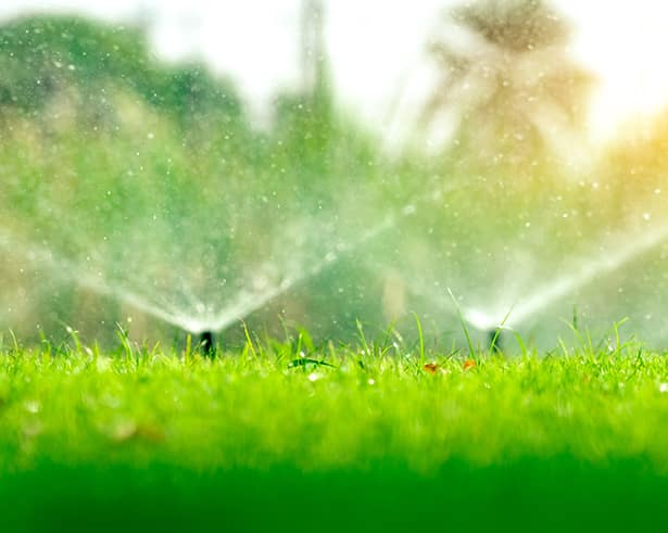 Sprinklers — Irrigation in Darwin NT