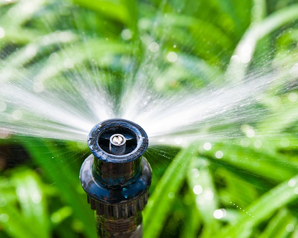 Irrigation Sprinkler in Action — Irrigation in Darwin NT